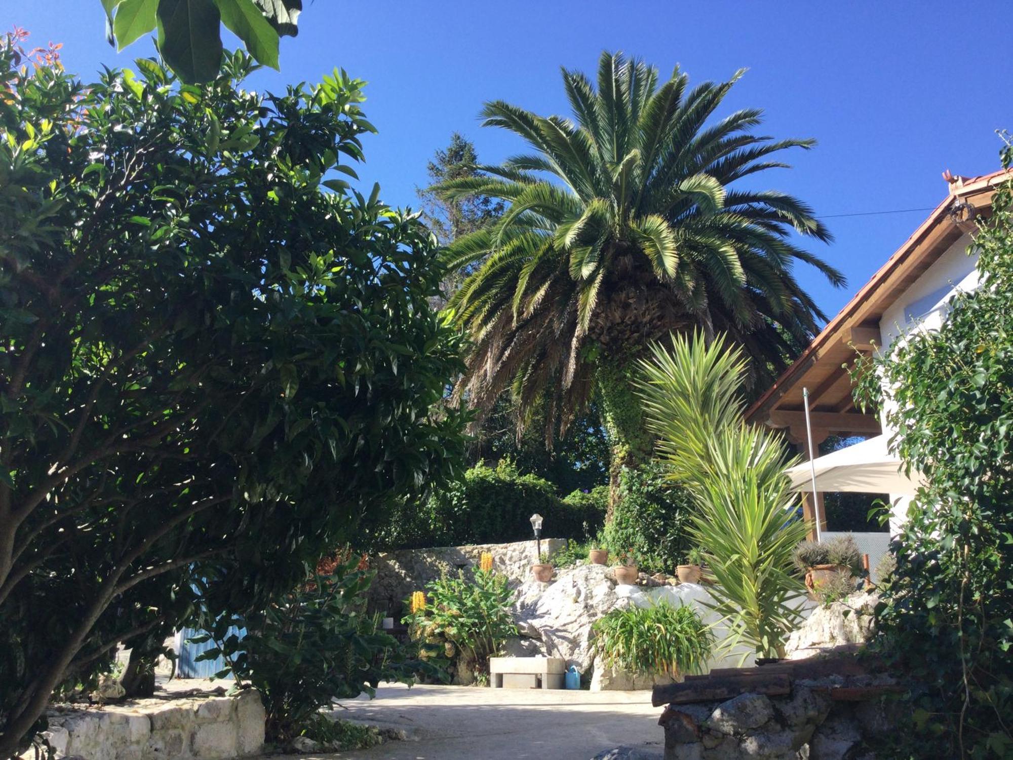 Villa Casa Jardin Rocablanca Llanes Celorio  Esterno foto