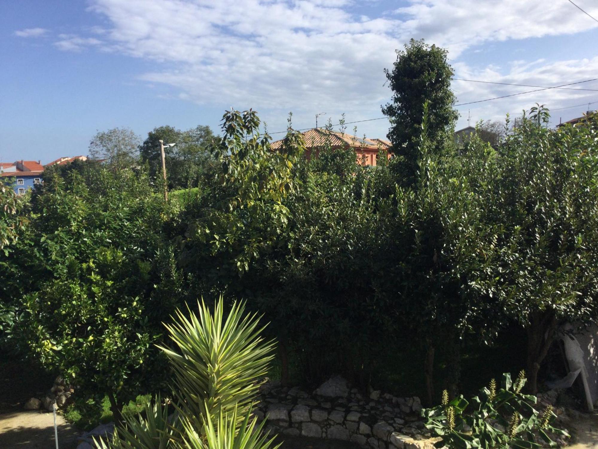 Villa Casa Jardin Rocablanca Llanes Celorio  Esterno foto